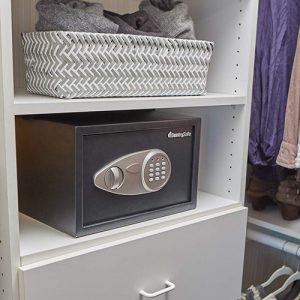 SentrySafe Small Digital Safe