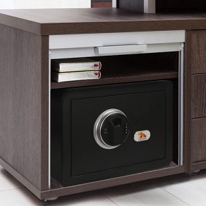 Tigerking Biometric Fingerprint small Safe