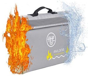 Fireproof and Waterproof Documents Bag