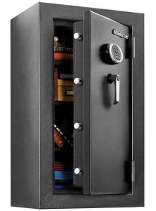 SentrySafe EF4738E Fireproof Waterproof Safe